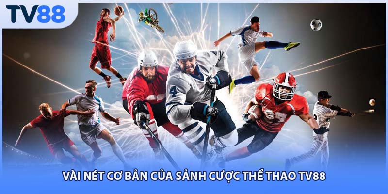 Vài nét cơ bản của sảnh cược thể thao TV88